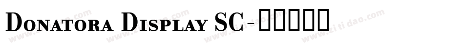 Donatora Display SC字体转换